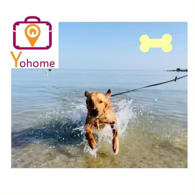 Casale Passalacqua Pesaro By Yohome La Torraccia Esterno foto